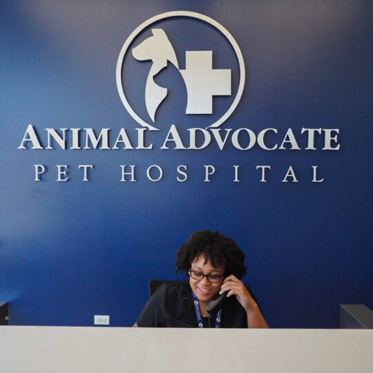 Blog tiles - Animal Advocate Pet Hospital